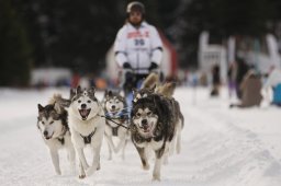 Lenzerheide 2013